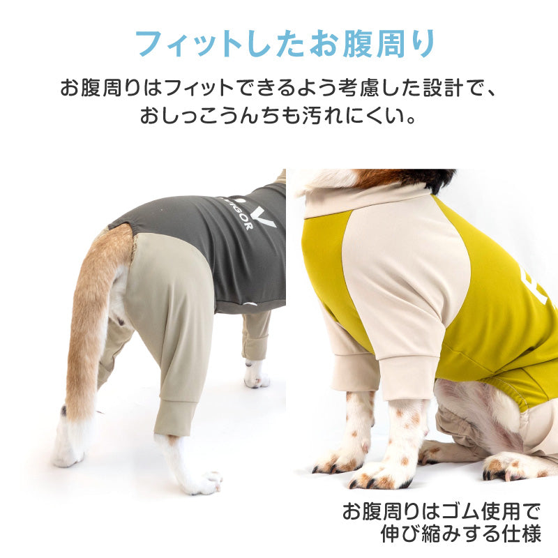 DOGPLAY®接觸涼感高彈力Rash Guard(大型犬用)