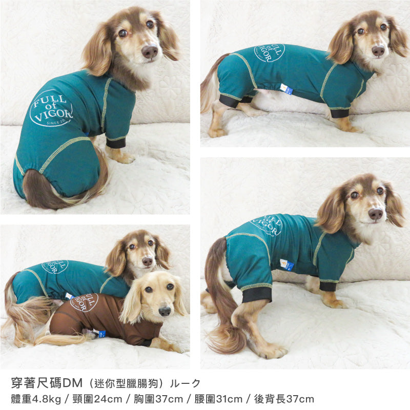 圓環LOGO印花防潑水Rash Guard(臘腸狗・小型犬用)