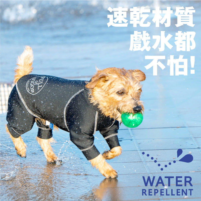 圓環LOGO印花防潑水Rash Guard(臘腸狗・小型犬用)