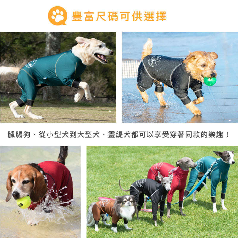 圓環LOGO印花防潑水Rash Guard(臘腸狗・小型犬用)