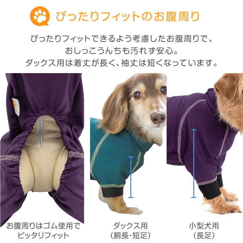 圓環LOGO印花防潑水Rash Guard(臘腸狗・小型犬用)