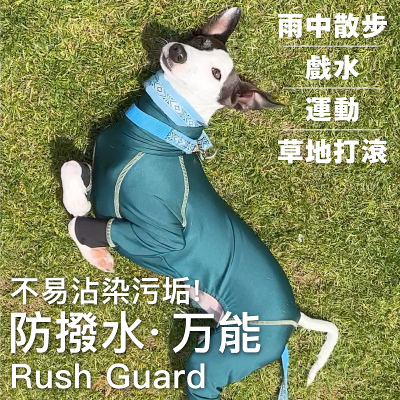 【2023年春夏新款】圓環LOGO印花防潑水Rash Guard(靈緹犬)