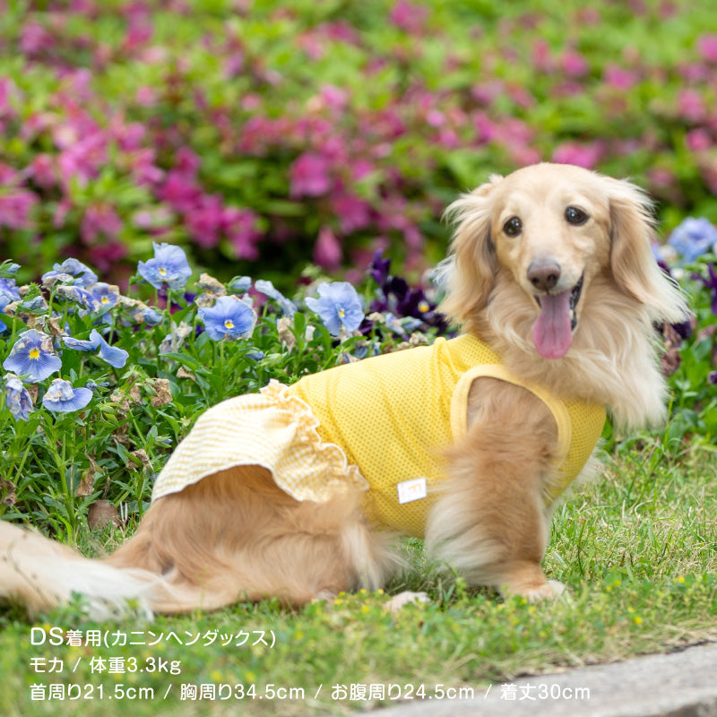 格紋荷葉邊網布連身裙(臘腸狗・小型犬用)