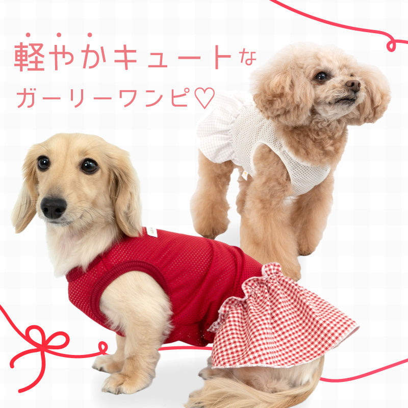 格紋荷葉邊網布連身裙(臘腸狗・小型犬用)