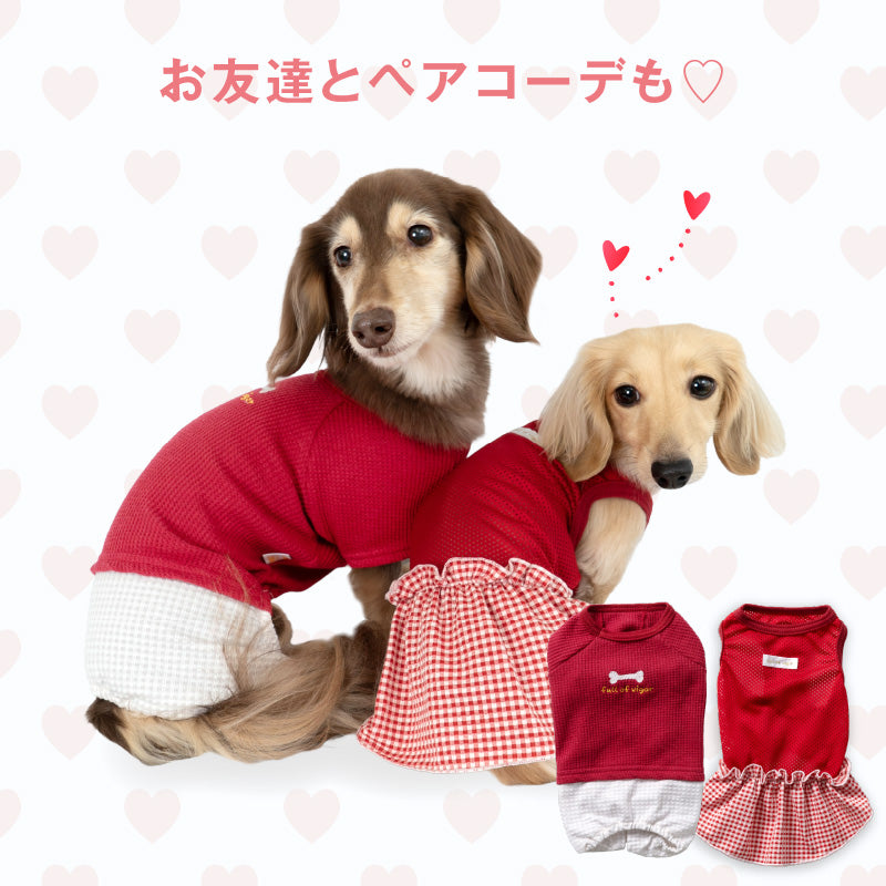 格紋荷葉邊網布連身裙(臘腸狗・小型犬用)