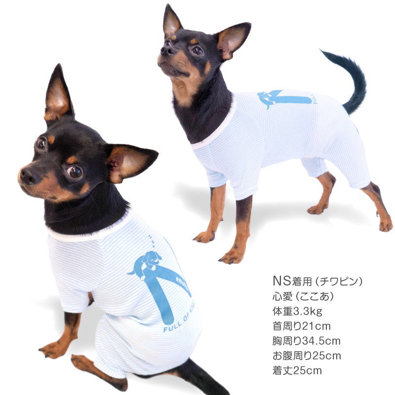 【2023年秋冬新款】睏睏小狗字母印花條紋T恤（臘腸狗·小型犬用）