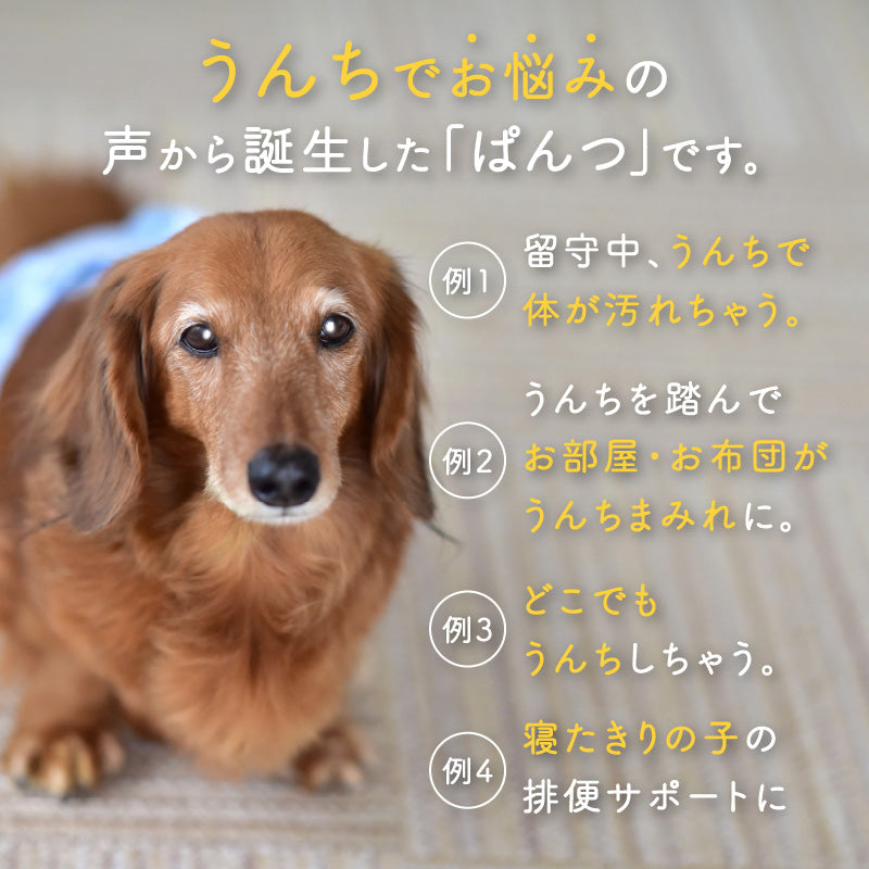 衛生排便照護服&連身尿布褲 プーぱんつ®︎ Poo Catching Pants(臘腸狗・小型犬用)