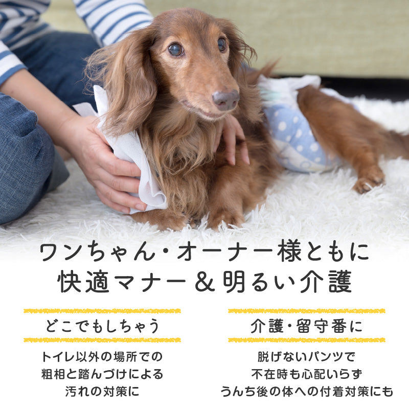衛生排便照護服&連身尿布褲 プーぱんつ®︎ Poo Catching Pants(臘腸狗・小型犬用)