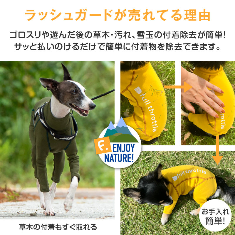 DOGPLAY®內刷毛Rash Guard(靈緹犬用)