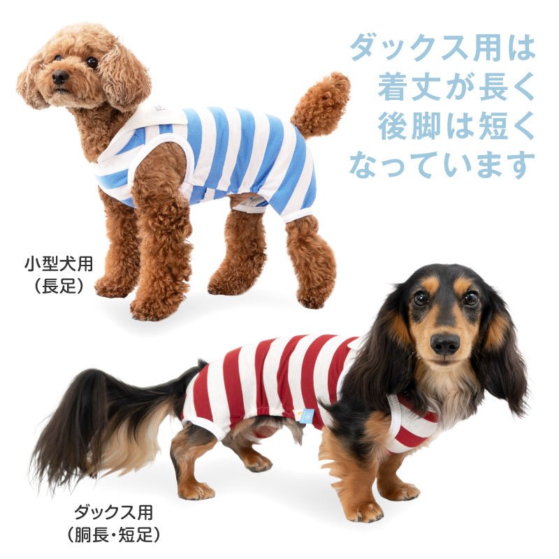 接觸涼感寬條紋水手服領連身衣(臘腸狗・小型犬用)