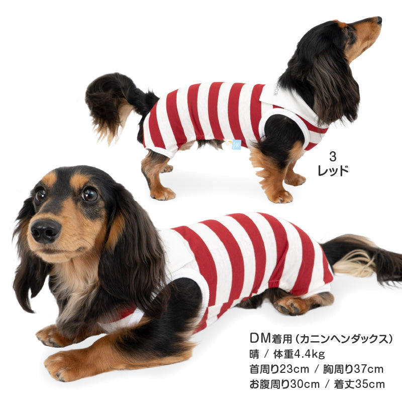 接觸涼感寬條紋水手服領連身衣(臘腸狗・小型犬用)