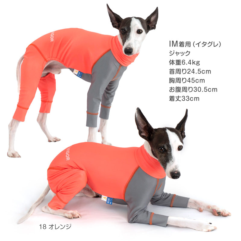 DOGPLAY®雙配色防潑水Rash Guard(靈緹犬用)