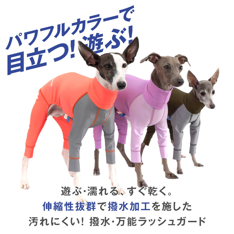 DOGPLAY®雙配色防潑水Rash Guard(靈緹犬用)