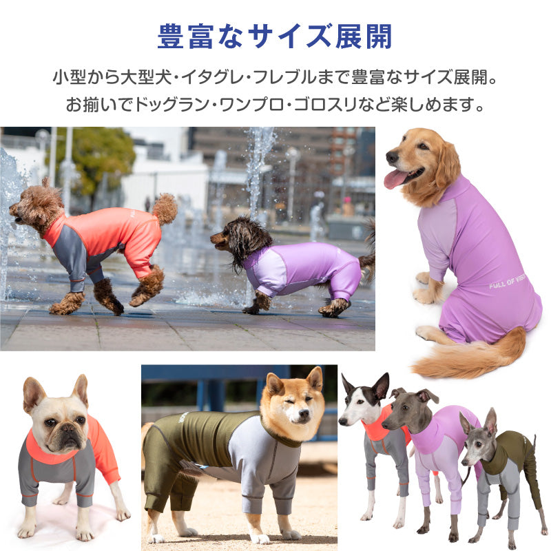 DOGPLAY®雙配色防潑水Rash Guard(靈緹犬用)
