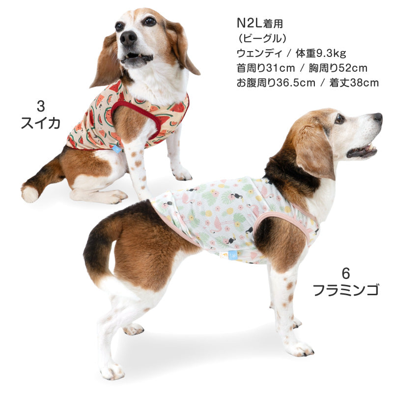 多樣圖案接觸涼感網布坦克背心(中型犬用)