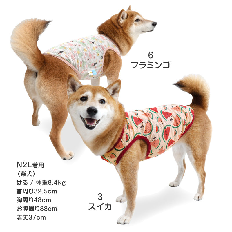 多樣圖案接觸涼感網布坦克背心(中型犬用)