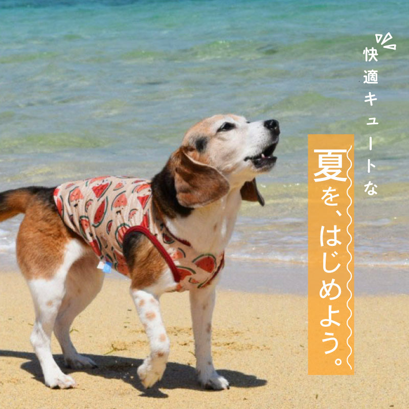 多樣圖案接觸涼感網布坦克背心(中型犬用)
