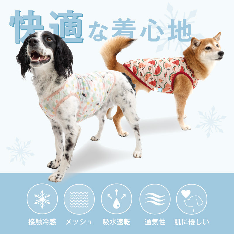 多樣圖案接觸涼感網布坦克背心(中型犬用)