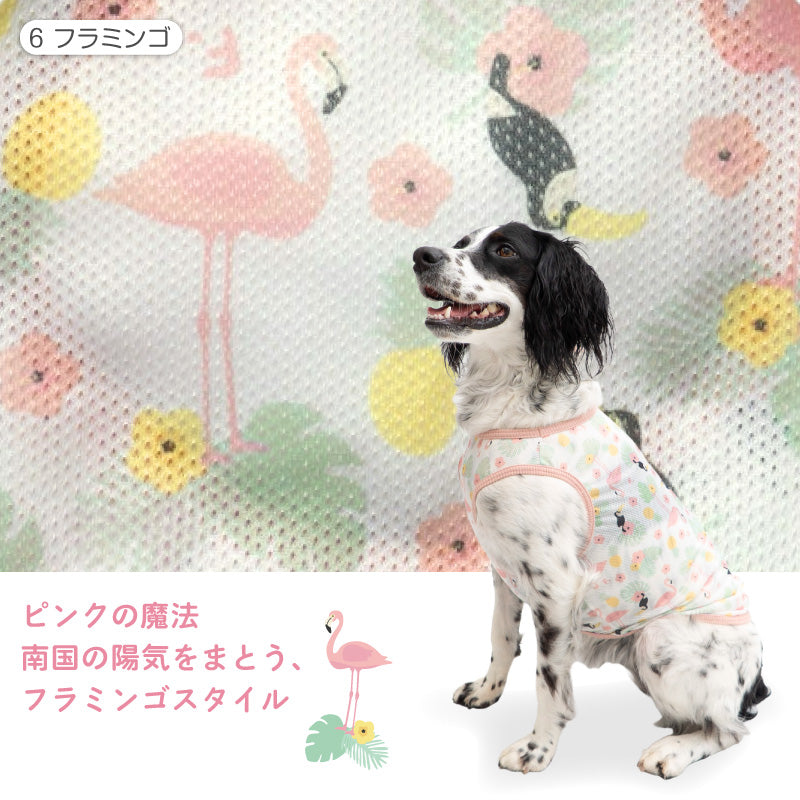 多樣圖案接觸涼感網布坦克背心(中型犬用)
