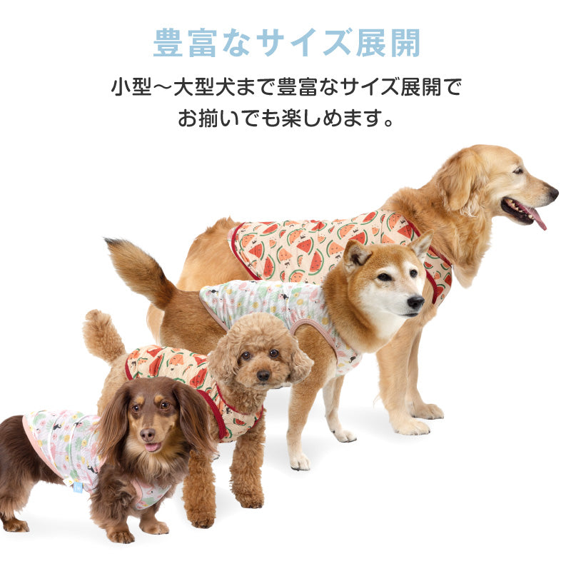 多樣圖案接觸涼感網布坦克背心(中型犬用)