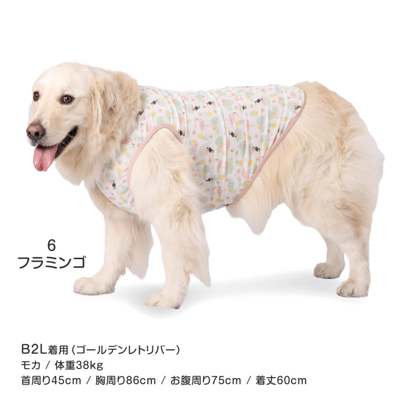 多樣圖案接觸涼感網布坦克背心(大型犬用)