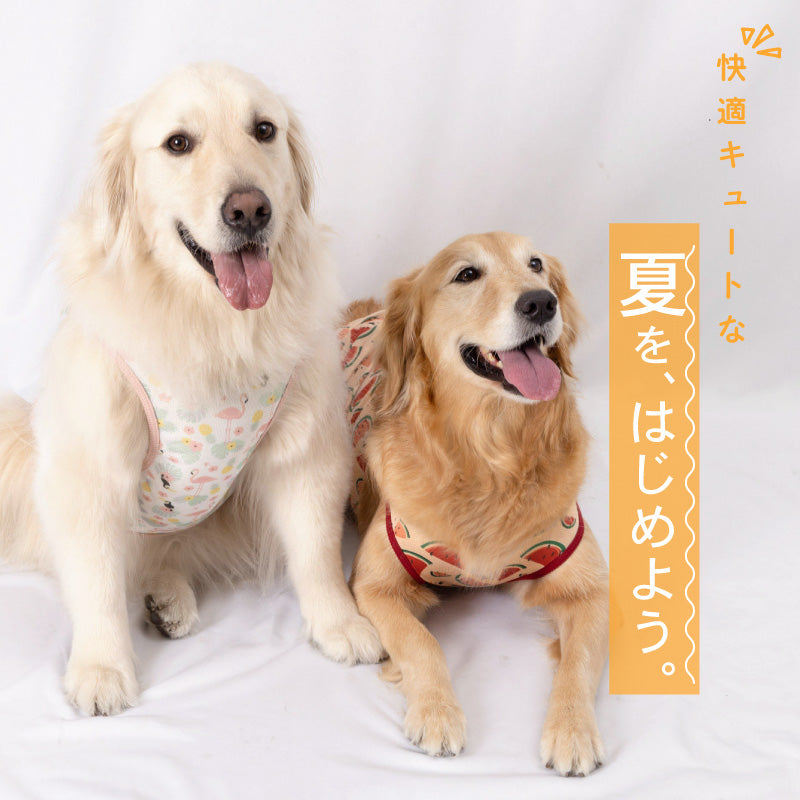 多樣圖案接觸涼感網布坦克背心(大型犬用)