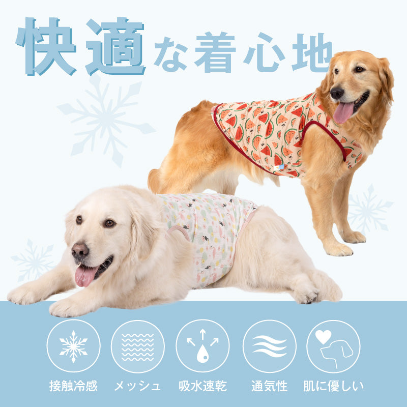 多樣圖案接觸涼感網布坦克背心(大型犬用)
