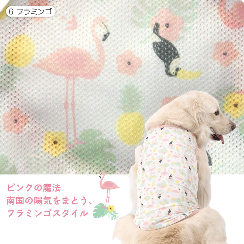 多樣圖案接觸涼感網布坦克背心(大型犬用)