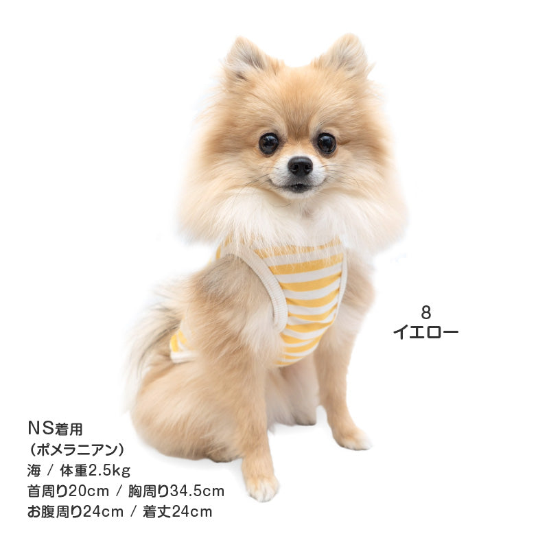 接觸涼感TENCEL MODAL纖維條紋天竺棉坦克背心(臘腸狗・小型犬用)