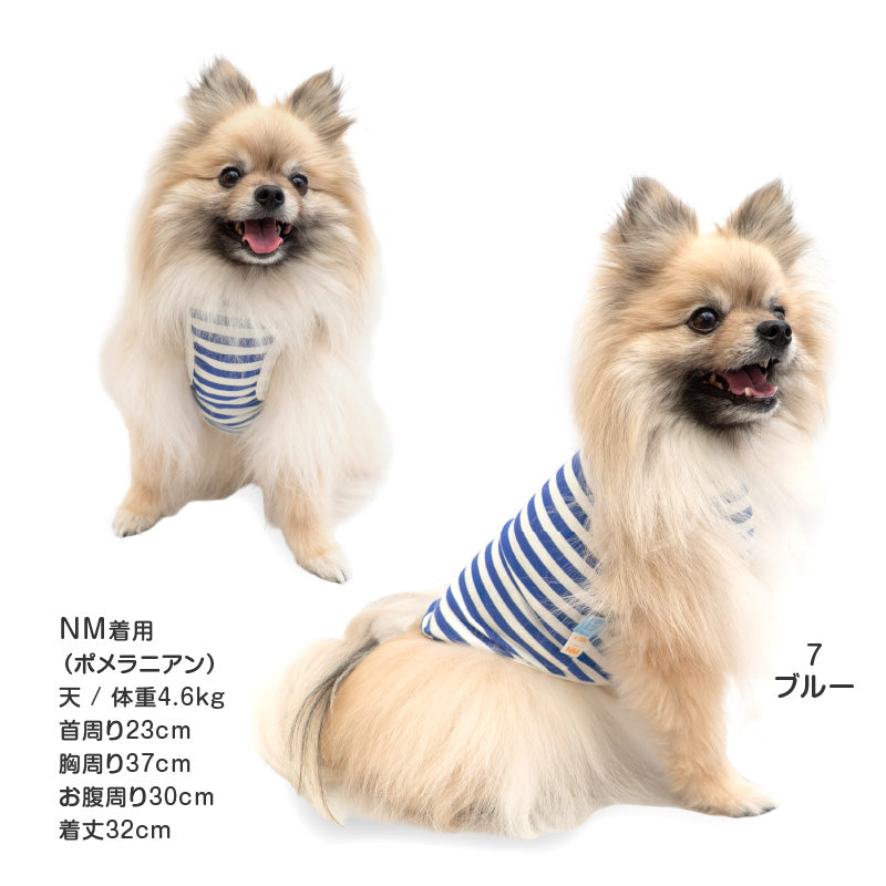 接觸涼感TENCEL MODAL纖維條紋天竺棉坦克背心(臘腸狗・小型犬用)