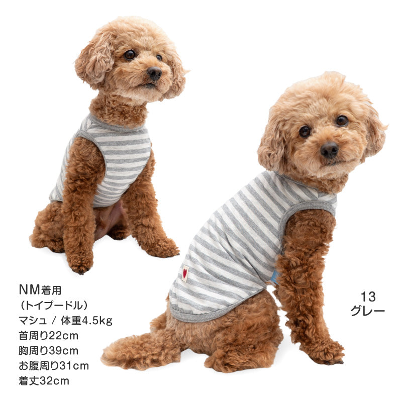 接觸涼感TENCEL MODAL纖維條紋天竺棉坦克背心(臘腸狗・小型犬用)
