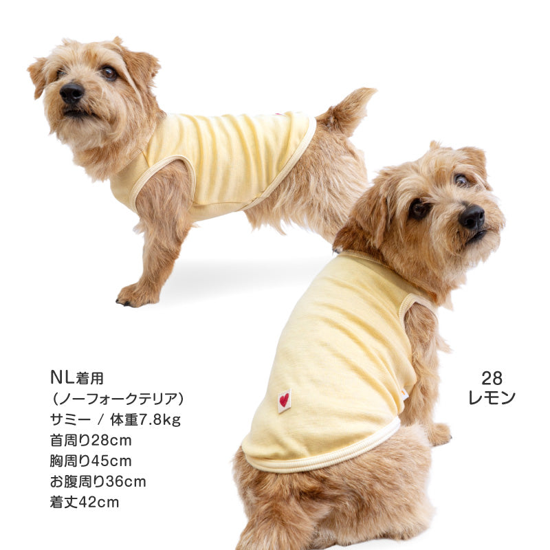 柔軟彈性羅馬布坦克背心(臘腸狗・小型犬用)