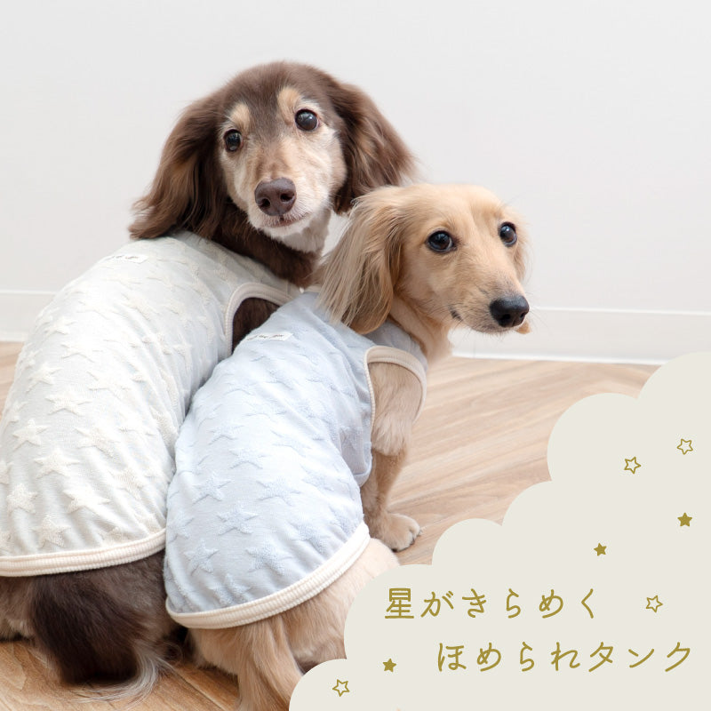 小星星毛圈布坦克背心(臘腸狗・小型犬用)