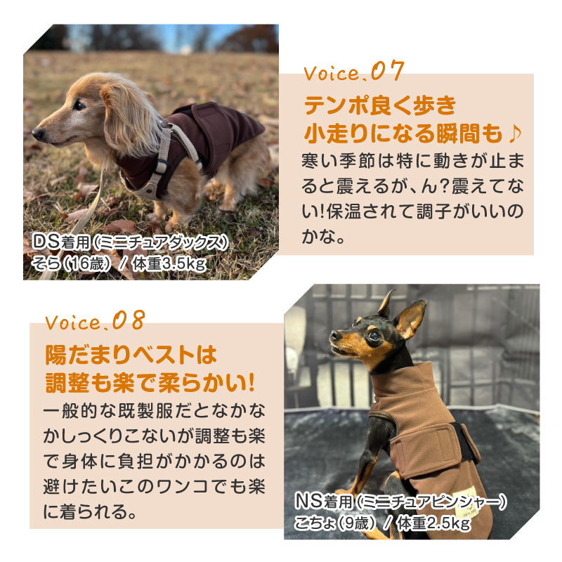 吸光熱遠紅外線保暖・暖陽背心(臘腸狗・小型犬用)
