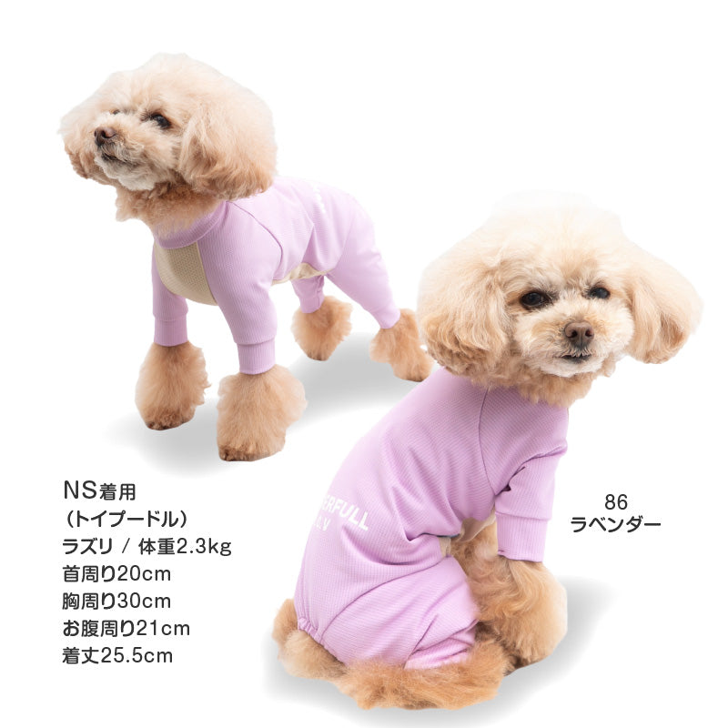 DOGPLAY®吸濕速乾防蚊Rash Guard(臘腸狗・小型犬用)