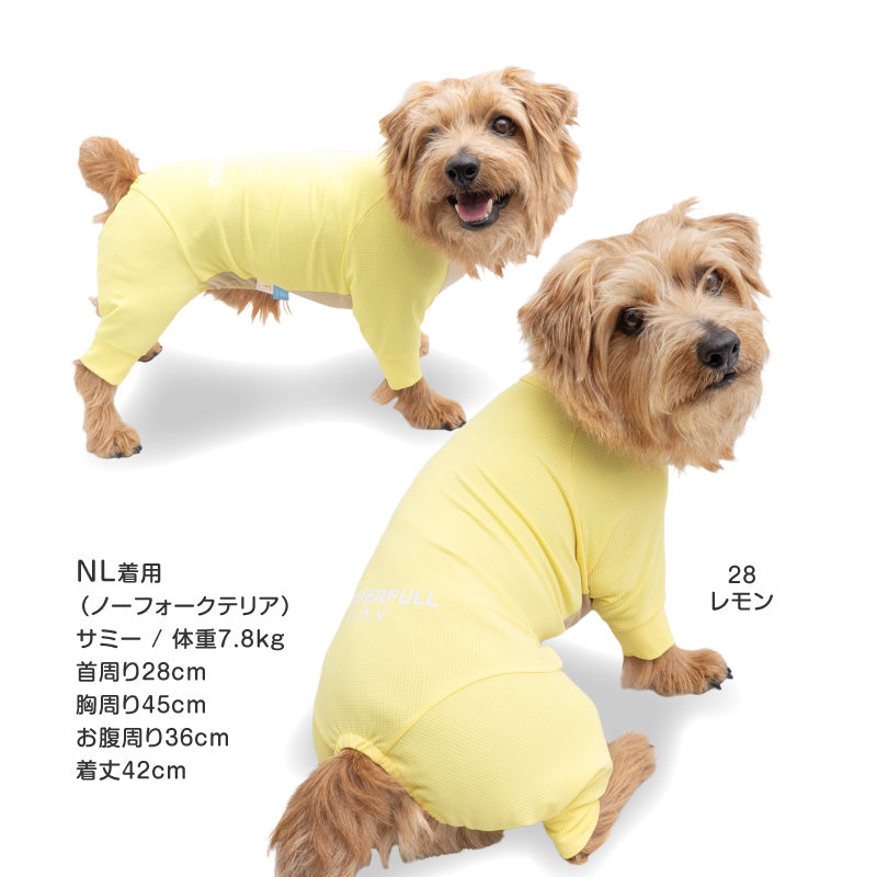 DOGPLAY®吸濕速乾防蚊Rash Guard(臘腸狗・小型犬用)