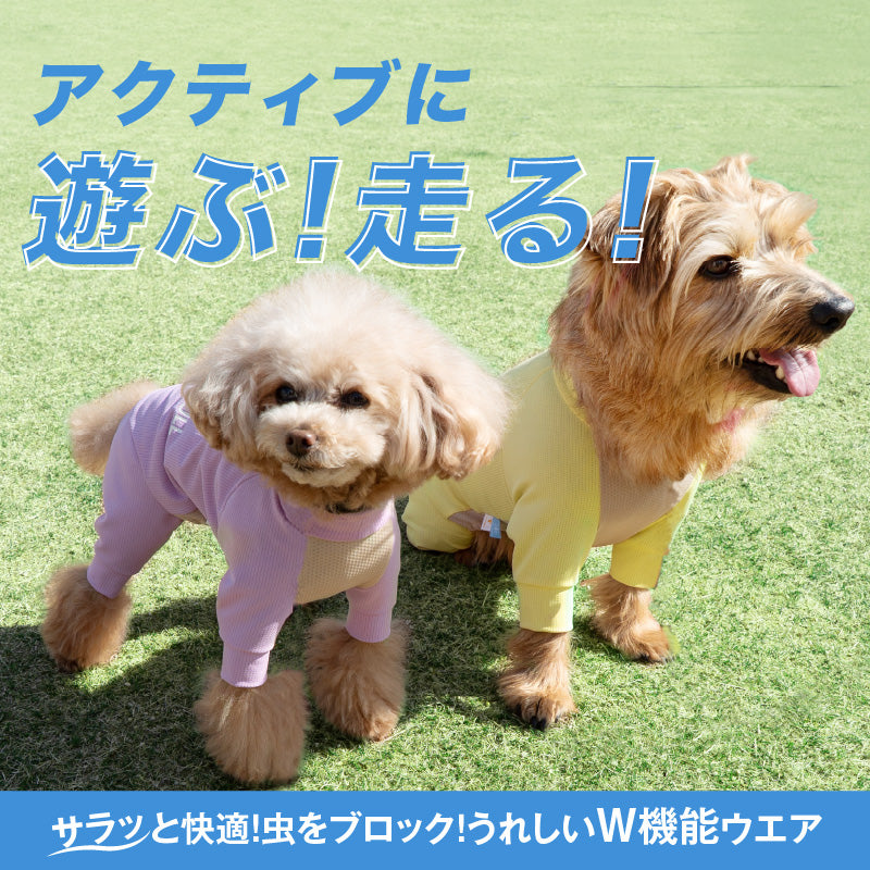 DOGPLAY®吸濕速乾防蚊Rash Guard(臘腸狗・小型犬用)