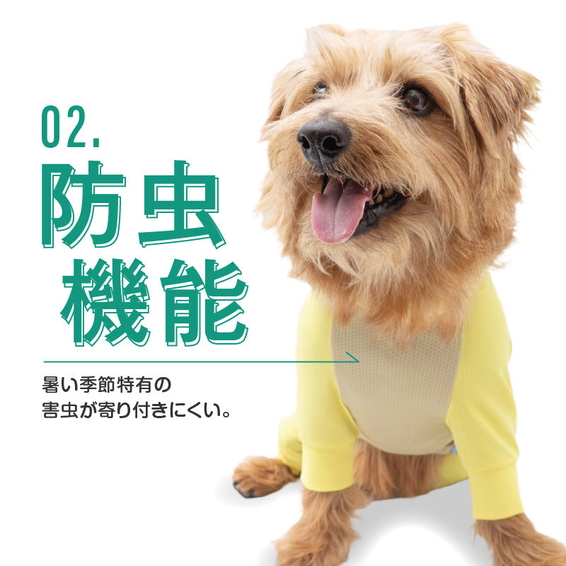 DOGPLAY®吸濕速乾防蚊Rash Guard(臘腸狗・小型犬用)