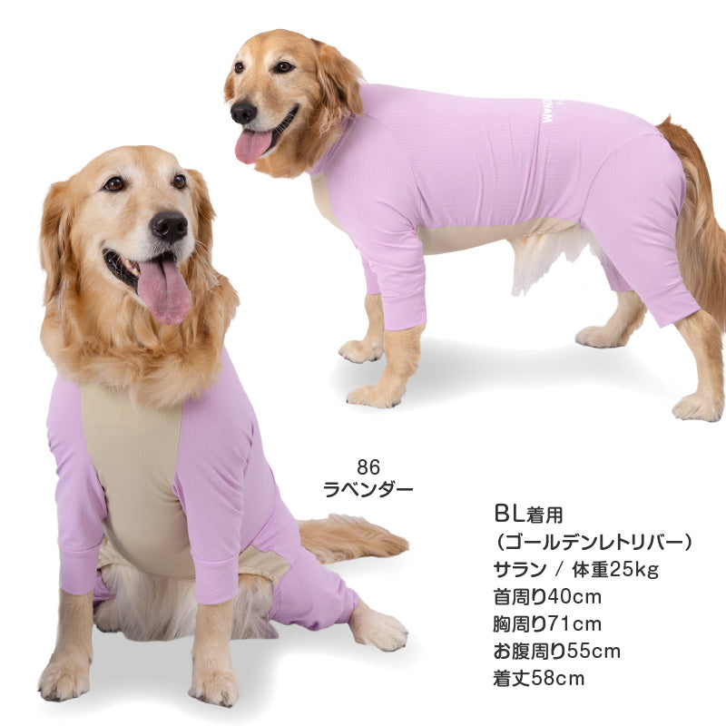 DOGPLAY®吸濕速乾防蚊Rash Guard(大型犬用)