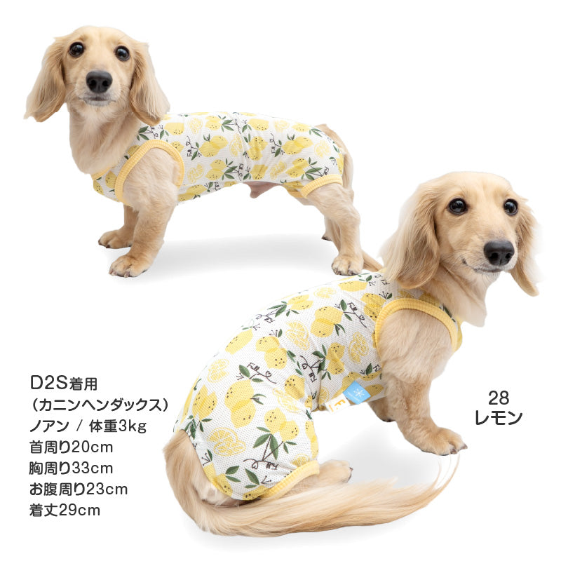 多樣圖案接觸涼感網布無袖連身衣(臘腸狗・小型犬用)