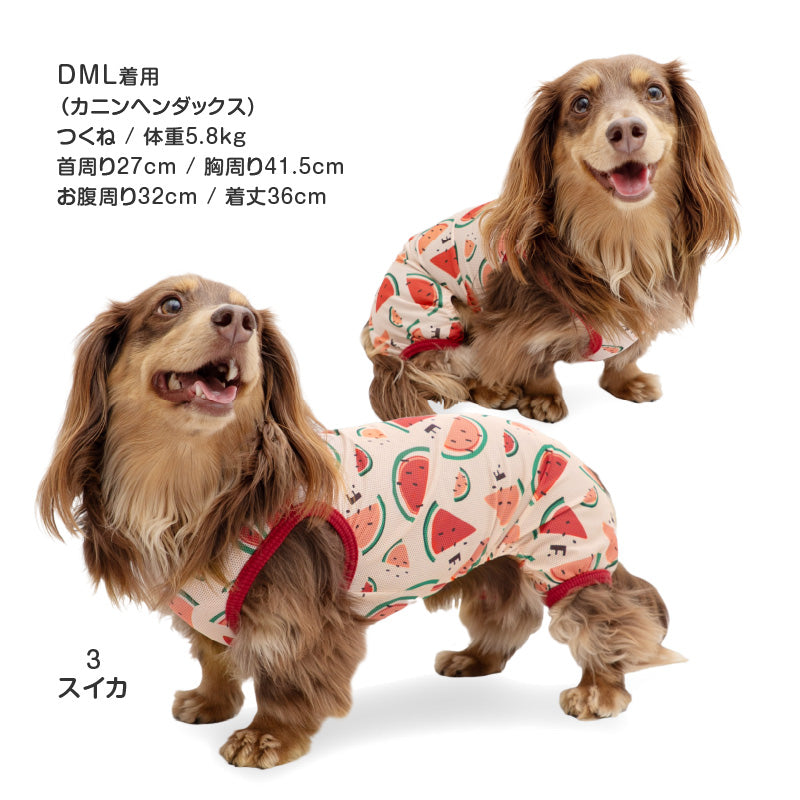 多樣圖案接觸涼感網布無袖連身衣(臘腸狗・小型犬用)