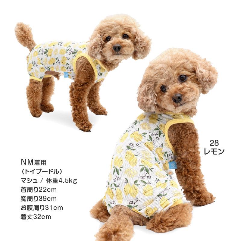 多樣圖案接觸涼感網布無袖連身衣(臘腸狗・小型犬用)