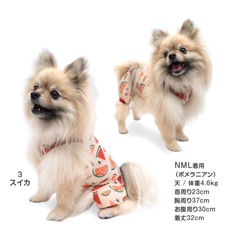 多樣圖案接觸涼感網布無袖連身衣(臘腸狗・小型犬用)
