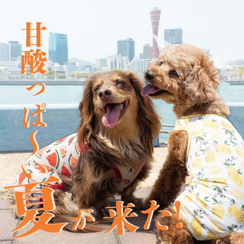 多樣圖案接觸涼感網布無袖連身衣(臘腸狗・小型犬用)