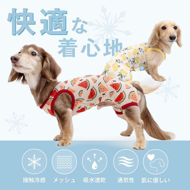 多樣圖案接觸涼感網布無袖連身衣(臘腸狗・小型犬用)