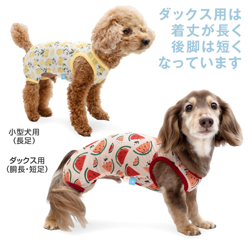 多樣圖案接觸涼感網布無袖連身衣(臘腸狗・小型犬用)