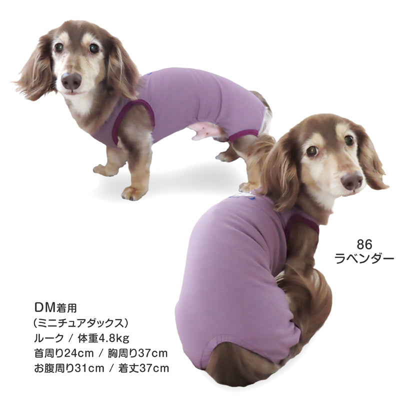 接觸涼感天竺棉刺繡LOGO無袖連身衣(臘腸狗・小型犬用)