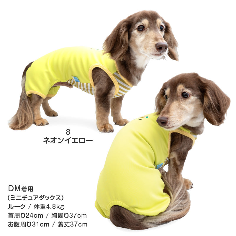 接觸涼感針織雙面布條紋無袖連身衣(臘腸狗・小型犬用)