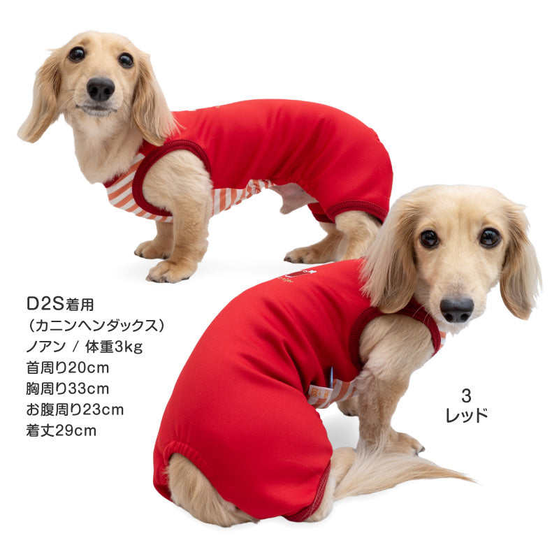 接觸涼感針織雙面布條紋無袖連身衣(臘腸狗・小型犬用)