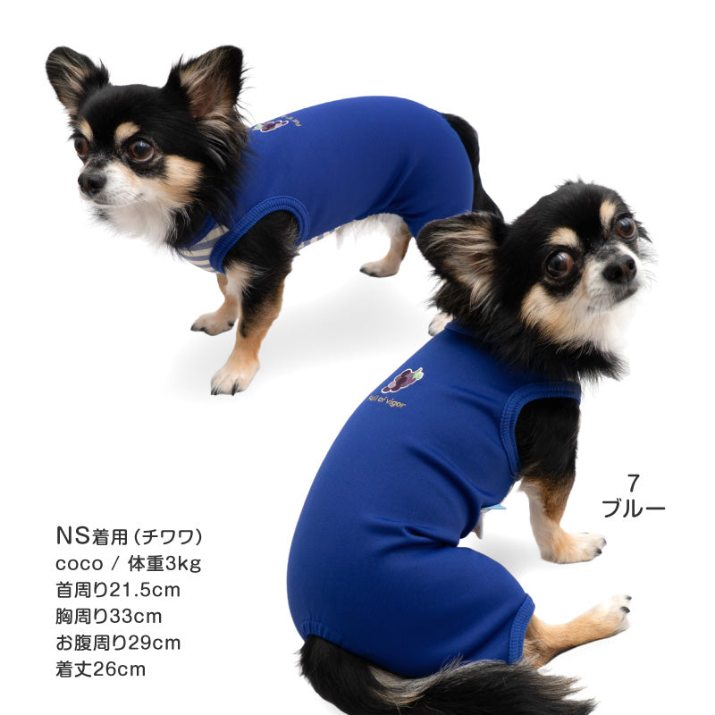 接觸涼感針織雙面布條紋無袖連身衣(臘腸狗・小型犬用)